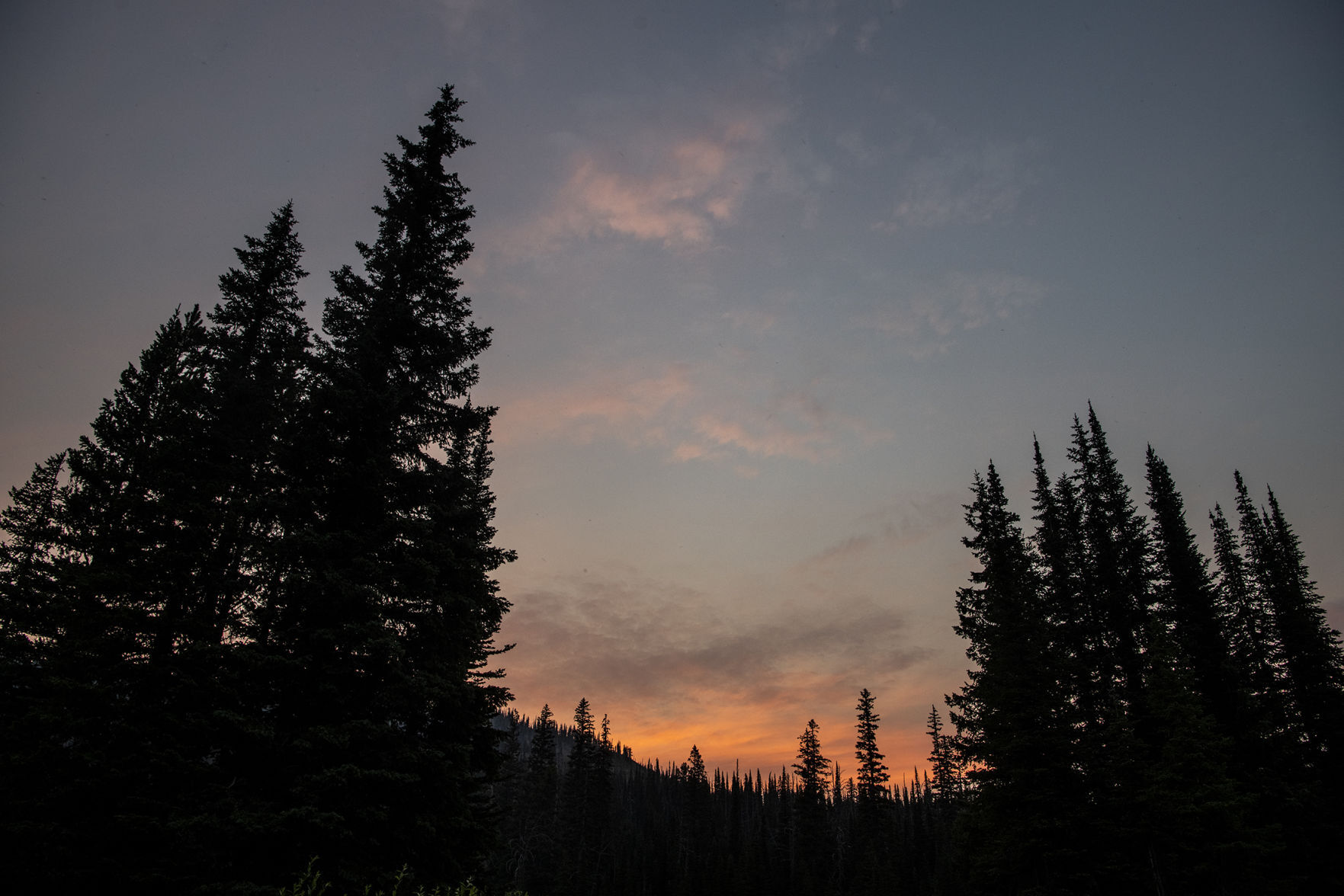 Territory: Rattlesnake Wilderness Area 06